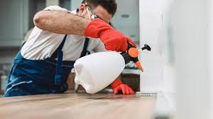 Best Pest Prevention Services  in Amherst, OH